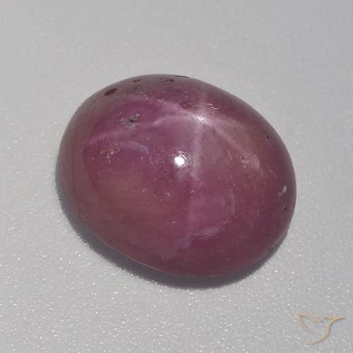 Rubis étoilé Pourpre moyen-foncé naturelle ovale, 8.41 ct, Opaque