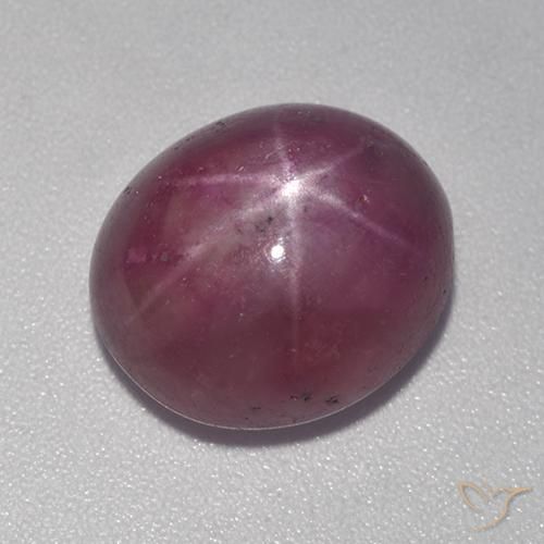 11.15ct Naturel Pourpre prune Rubis étoilé, ovale, Opaque