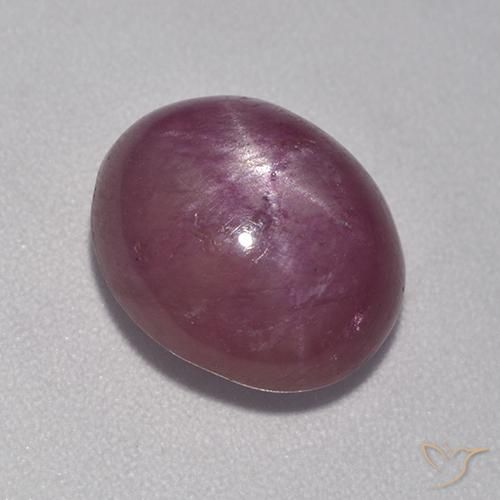 6.32ct Naturel Pourpre prune Rubis étoilé, ovale, Opaque