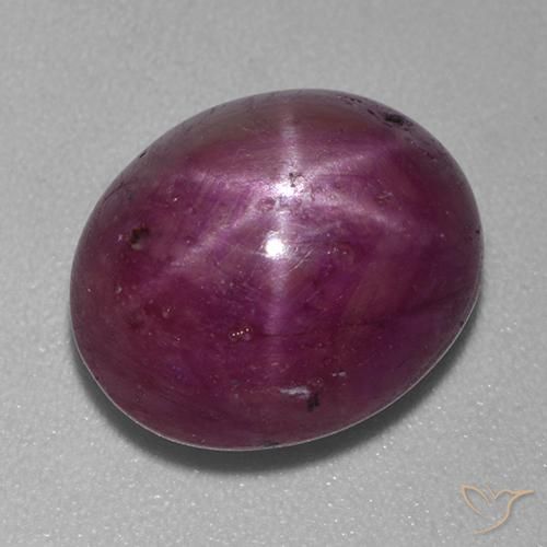 10.00ct Naturel Pourpre moyen-foncé Rubis étoilé, ovale, Opaque