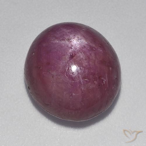 9.28ct Naturel Violet rougeâtre Rubis étoilé, ovale, Opaque