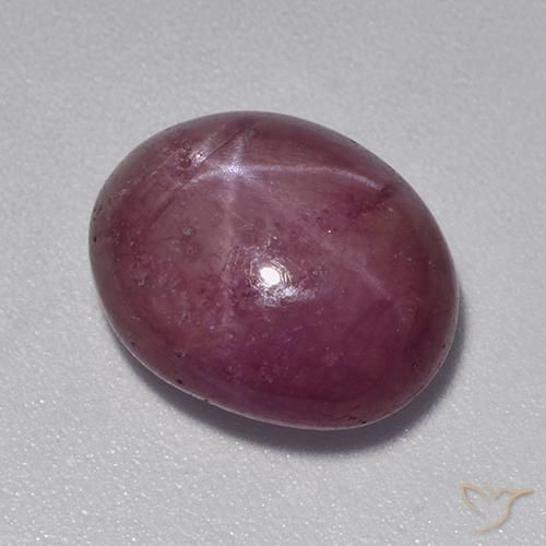 Rubis étoilé Pourpre moyen-foncé naturelle ovale, 8.90 ct, Opaque