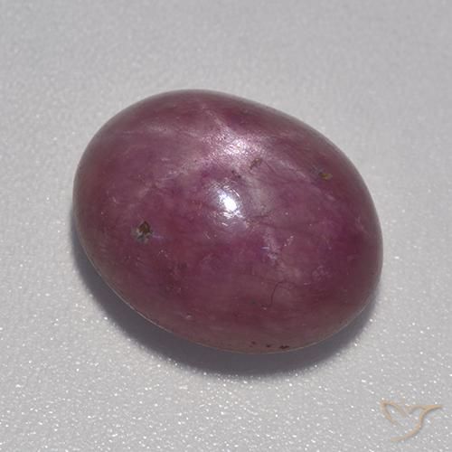 Rubis étoilé Pourpre prune naturelle ovale, 9.03 ct, Opaque