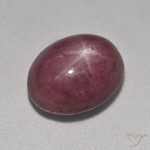 Rubis étoilé Pourpre prune naturelle ovale, 8.17 ct, Opaque