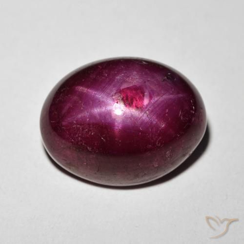 11.24ct Naturel Vin rouge Rubis étoilé, ovale, Opaque