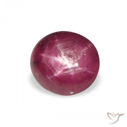2.50ct Naturel Medium Light-Purple Rubis étoilé, ovale, Opaque