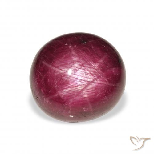 11.86ct Naturel Violet Rosâtre Rubis étoilé, ovale, Opaque