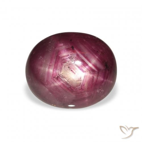 5.69ct Naturel Medium Dark-Purple Rubis étoilé, ovale, Opaque