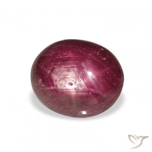 6.70ct Naturel Medium Dark Reddish-Purple Rubis étoilé, ovale, Opaque