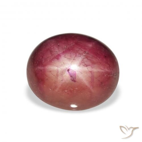 8.14ct Naturel Medium Light-Purple Rubis étoilé, ovale, Opaque