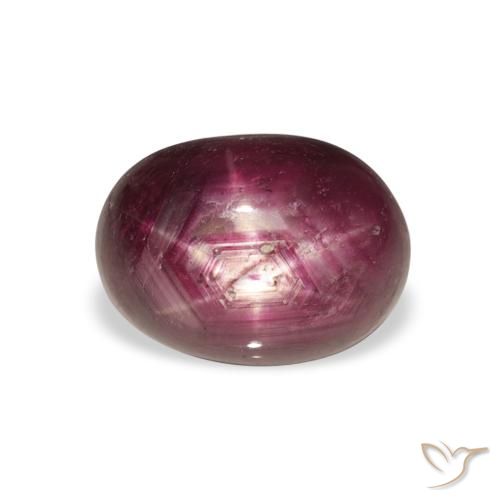6.23ct Naturel Violet Rosâtre Rubis étoilé, ovale, Opaque