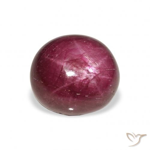 9.87ct Naturel Medium Dark-Purple Rubis étoilé, ovale, Opaque