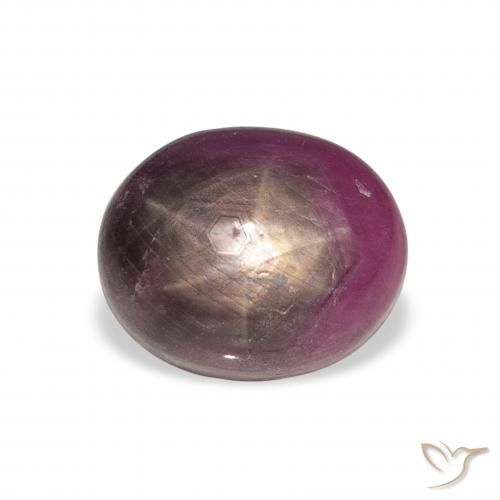 9.04ct Naturel Violet rougeâtre Rubis étoilé, ovale, Opaque