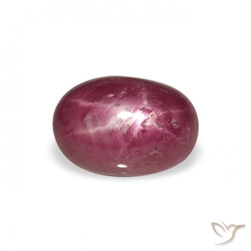 2.87ct Naturel Medium Light-Purple Rubis étoilé, ovale, Opaque