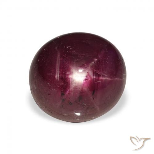5.04ct Naturel Rouge foncé Rubis étoilé, ovale, Opaque