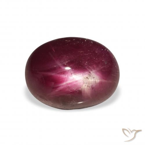 6.34ct Naturel Rouge foncé Rubis étoilé, ovale, Opaque