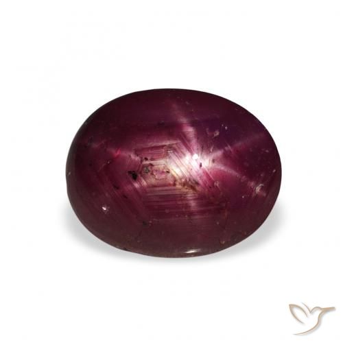 3.20ct Naturel Rouge foncé Rubis étoilé, ovale, Opaque