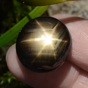 Saphir étoilé noir naturelle coupe ovale, 30,49 ct, opaque
