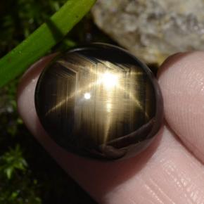 Saphir étoilé noir naturelle coupe ovale, 30,49 ct, opaque
