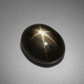 Saphir étoilé noir naturelle coupe ovale, 9,92 ct, opaque