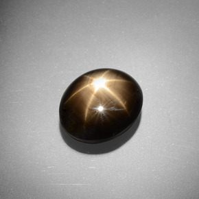 Saphir étoilé Noire naturelle ovale, 6.98 ct, Opaque