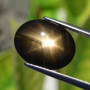 Saphir étoilé noir naturelle coupe ovale, 6,32 ct, opaque