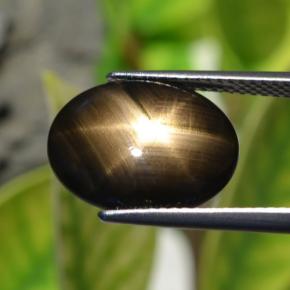Saphir étoilé noir naturelle coupe ovale, 6,32 ct, opaque