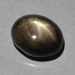 Saphir étoilé noir naturelle coupe ovale, 10,43 ct, opaque