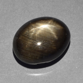 Saphir étoilé noir naturelle coupe ovale, 10,43 ct, opaque