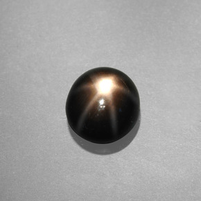 Saphir étoilé noir naturelle coupe roude, 1,09 ct, opaque