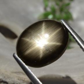 Saphir Étoilé Noire naturelle Coupe ovale, 3.26 ct, Opaque