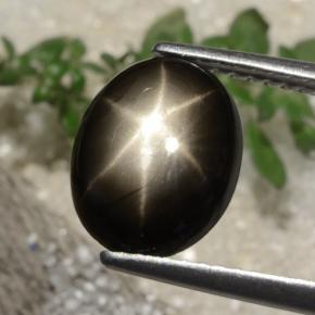 Saphir Étoilé Noire naturelle Coupe ovale, 3.05 ct, Opaque