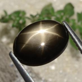 Saphir Étoilé Noire naturelle Coupe ovale, 3.05 ct, Opaque