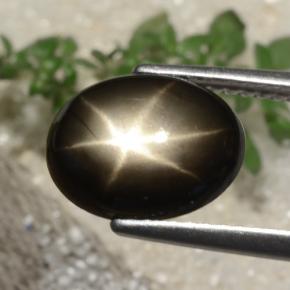 Saphir Étoilé Noire naturelle Coupe ovale, 3.05 ct, Opaque