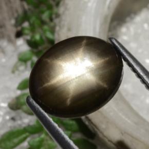 Saphir étoilé noir naturelle coupe ovale, 2,94 ct, opaque