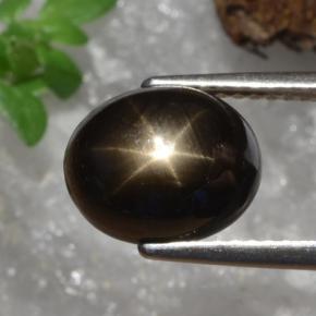 Saphir étoilé noir naturelle coupe ovale, 4,91 ct, opaque