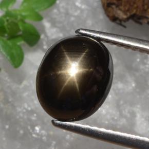 Saphir étoilé noir naturelle coupe ovale, 4,91 ct, opaque