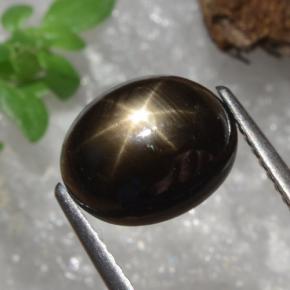 Saphir étoilé noir naturelle coupe ovale, 4,91 ct, opaque