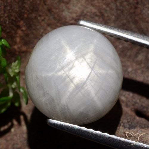 8.80ct Naturel Gris très clair Saphir étoilé, Tour, Opaque