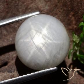 Saphir étoilé Gris très clair naturelle Tour, 8.80 ct, Opaque