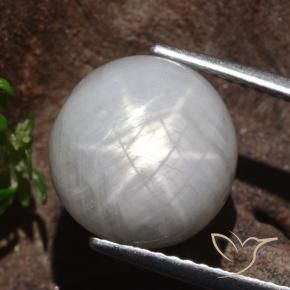 Saphir étoilé Gris très clair naturelle Tour, 8.80 ct, Opaque