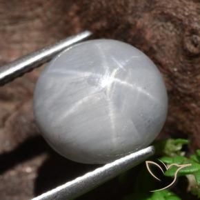 Saphir étoilé Gris moyen naturelle Tour, 8.96 ct, Opaque