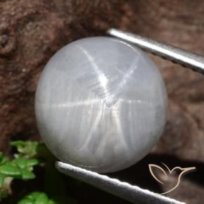 Saphir étoilé Gris moyen naturelle Tour, 8.96 ct, Opaque
