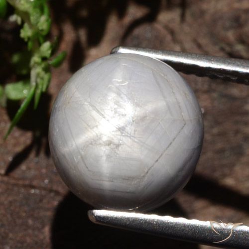 6.61ct Naturel Gris moyen-foncé Saphir étoilé, ovale, Opaque