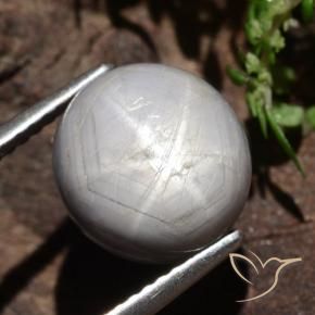 Saphir étoilé Gris moyen-foncé naturelle ovale, 6.61 ct, Opaque