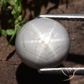 Saphir étoilé Gris moyen-foncé naturelle ovale, 6.61 ct, Opaque