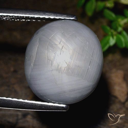 14.39ct Naturel Gris bleuâtre Saphir étoilé, ovale, Opaque