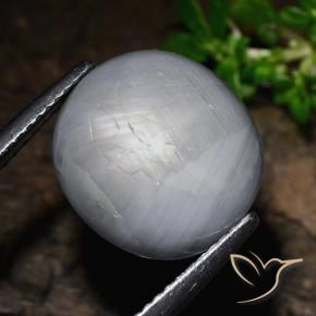 Saphir étoilé Gris bleuâtre naturelle ovale, 14.39 ct, Opaque