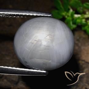 Saphir étoilé Gris bleuâtre naturelle ovale, 14.39 ct, Opaque