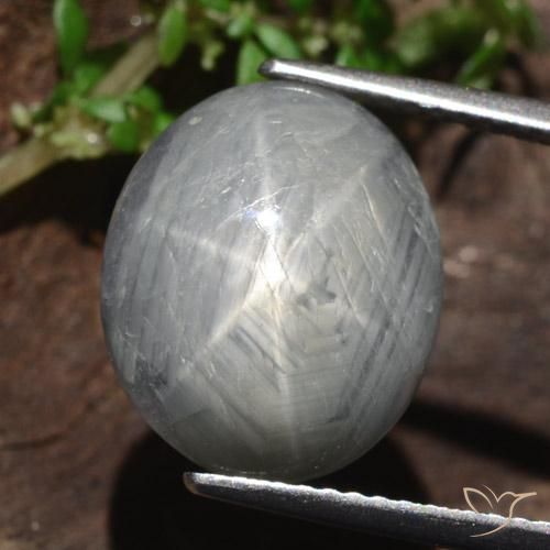 13.46ct Naturel Gris moyen Saphir étoilé, ovale, Opaque